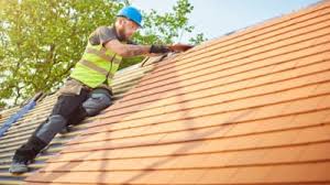 Roof Restoration in Mckenzie, TN