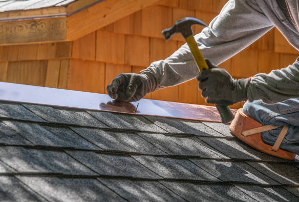 Best Metal Roofing Installation  in Mckenzie, TN