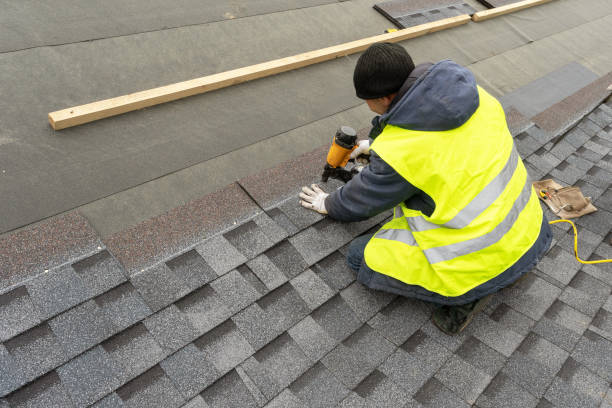 Best Asphalt Shingle Roofing  in Mckenzie, TN