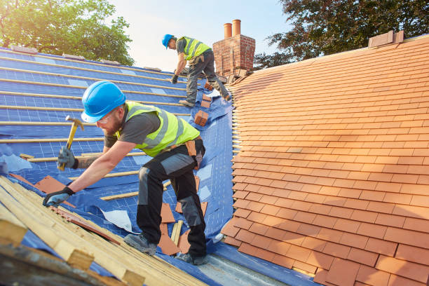 Best Emergency Roof Repair Services  in Mckenzie, TN