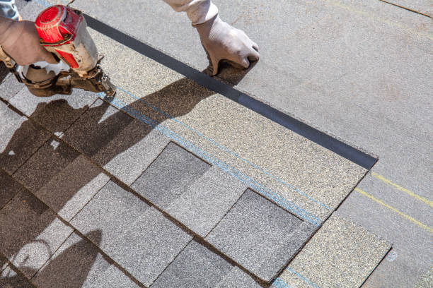 Best Roof Coating and Sealing  in Mckenzie, TN